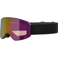 Alpina Masque de ski