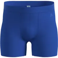 Odlo Merino 160 Boxers Bleu S Homme