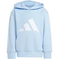 Adidas Sweat à Capuche Essentials Big Logo