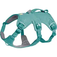 Ruffwear Web Master Dog Harness Bleu M