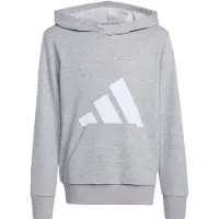Adidas Essentials Hoodie Gris 11-12 Years Enfants