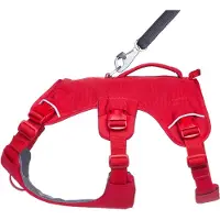 Ruffwear harnais pour chiens Web Master Red Canyon, taille : S