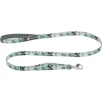 Ruffwear Front Range Dog Leash Bleu