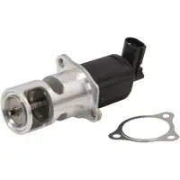 Delphi Vanne EGR EG10405-12B1