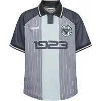 Hummel T-Shirt fonctionnel gris / gris clair