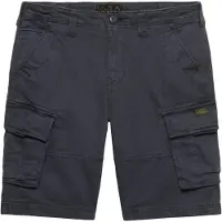 Superdry Pantalon cargo bleu-gris