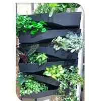 Progarden Bacs à plantes en cascade 2 pcs. Anthracite 78x19x35 cm