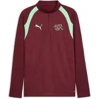 Puma Hommes, T-shirt de sport, SFV Training 1/4 Zip Top (M), Rouge, M