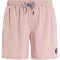 Protest Davey Swimming Shorts Rose L Homme