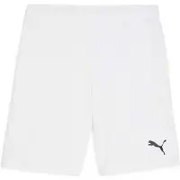 Puma Short TeamGOAL Hommes
