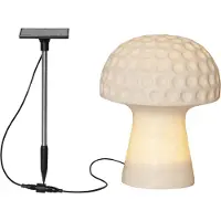 Star Trading Lampe solaire « Sandy », champignon en grès, capteur crépusculaire, blanc naturel, H 24 cm