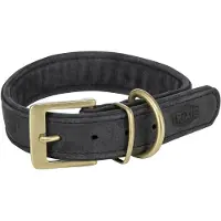 Trixie Collier De Chien 1887001