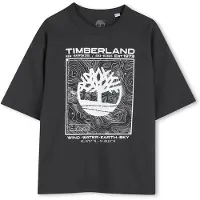 Timberland T60794 Short Sleeve T-shirt Gris 4 Years Garçon