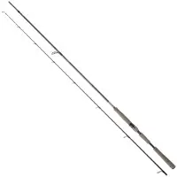 Daiwa Saltist Ags Iii Spinning Rod Noir 2.90 m / 14-56 g
