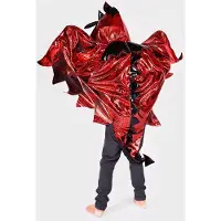 Den Goda Fen Dragon Cloak Child Costume Rouge 3-8 Years Enfants