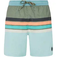 Protest Avik Swimming Shorts Vert S Homme