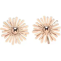 Avant Garde Boucles d'oreilles 'Edytana' or