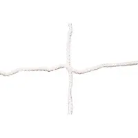 Lynx Sport Goal Net Argenté 6 X 2.1 m