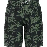 Protest William Swimming Shorts Vert,Noir 104 cm Garçon
