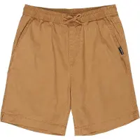 Quiksilver Taxer Shorts Marron 14 Years Garçon