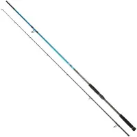 Daiwa Canne Spinning Spitfire Seabass