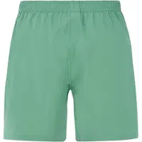 Protest Baky Swimming Shorts Vert XS Homme