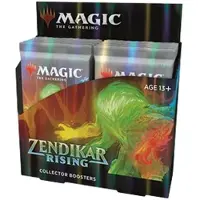 Wizards of the Coast , C75360000, 13e année/13e année