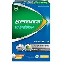 Parasanteonline Magnésium - Double action fatigue et nervosité, mémoire et concentration - programme express 14j - 14 sachets 14 pc(s) Sachet(S)