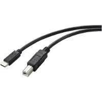 Renkforce RF-5720420 Câble USB 2 m USB 2.0 USB C USB B Noir (RF-5720420)
