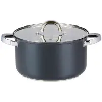 Alpina Casserole pour induction avec couvercle, 24 cm, 6,1 L - Casserole en acier inoxydable, couleur noire