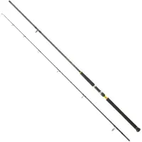 Daiwa Legalis Shore Jigging Rod Argenté 3.20 m / 60-120 g