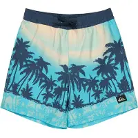 Quiksilver Everyday Printed Volley 14´´ Swimming Shorts Bleu 12 Years Garçon