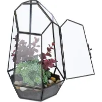 Relaxdays Terrarium végétal , verre et cuivre, 26 x 18 x 15 cm, boîte en verre pour cactus et mousse, motif géométrique, pour rebord de fenêtre, noir