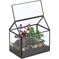 Relaxdays Terrarium végétal , verre et cuivre, 15 x 15 x 10 cm, serre décorative pour cactus et mousse, boîte en verre pour rebord de fenêtre, noir
