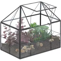 Relaxdays Terrarium végétal , verre et cuivre, 21 x 23 x 14 cm, serre décorative pour cactus et mousse, vitrine de fenêtre, noir