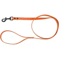 Barry King Smycz dla psa z wytrzymałej gumy, pomarańczowy, 16mm/1,2m (Chien)