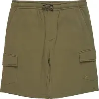 Quiksilver Eqyfb03406 Cargo Pants Vert M Homme