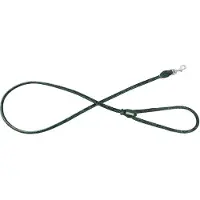 Barry King Smycz dla psa okrągły Serpente, zielony, skórzany niklowy, 8mm/120cm (Chien)