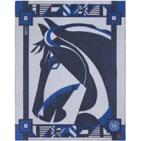 GOBI Cashmere Foulards oversize bleu
