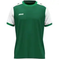 Jako Maillot Enfants Dynamic KA - 4270, Couleur:vert foncé/blanc/vert, Taille:128