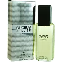 Puig Quorum Silver Eau de Toilette 100 ml