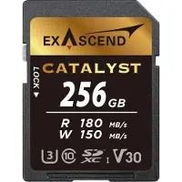 EXASCEND Catalyst 256GB SD Card