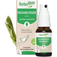 Herbalgem - Framboisier Bio - Complément Alimentaire - Extrait De Bourgeon Frais - Pour Santé Féminine - 15 ml 15 ml Spray