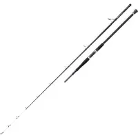 Shakespeare Salt Xt Uptide Spinning Rod Gris 2.90 m / 150-300 g