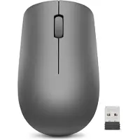 Lenovo Souris sans fil 530 Graphite - GY50Z49089