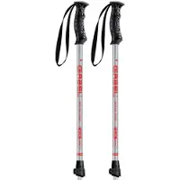 Gabel R Fast Junior Poles Argenté 65-105 cm Garçon