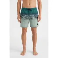 O'Neill Logo Stripe 16´´ Swimming Shorts Bleu M Homme