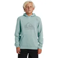 Quiksilver Comp Logo Hoodie Vert 14 Years Garçon