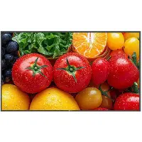 AG Neovo 55i LED 3840x2160 UHD 400cd/m2 5000 1 5ms 178/178 1 07B couleurs USB3 VGA/HDMI 2.0 3x