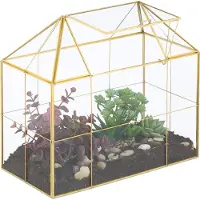 Relaxdays Terrarium végétal , verre et cuivre, dimensions : 27 x 30 x 15 cm. Serre décorative pour cactus et mousse, vitrine en verre pour rebord de fenêtre, dorée